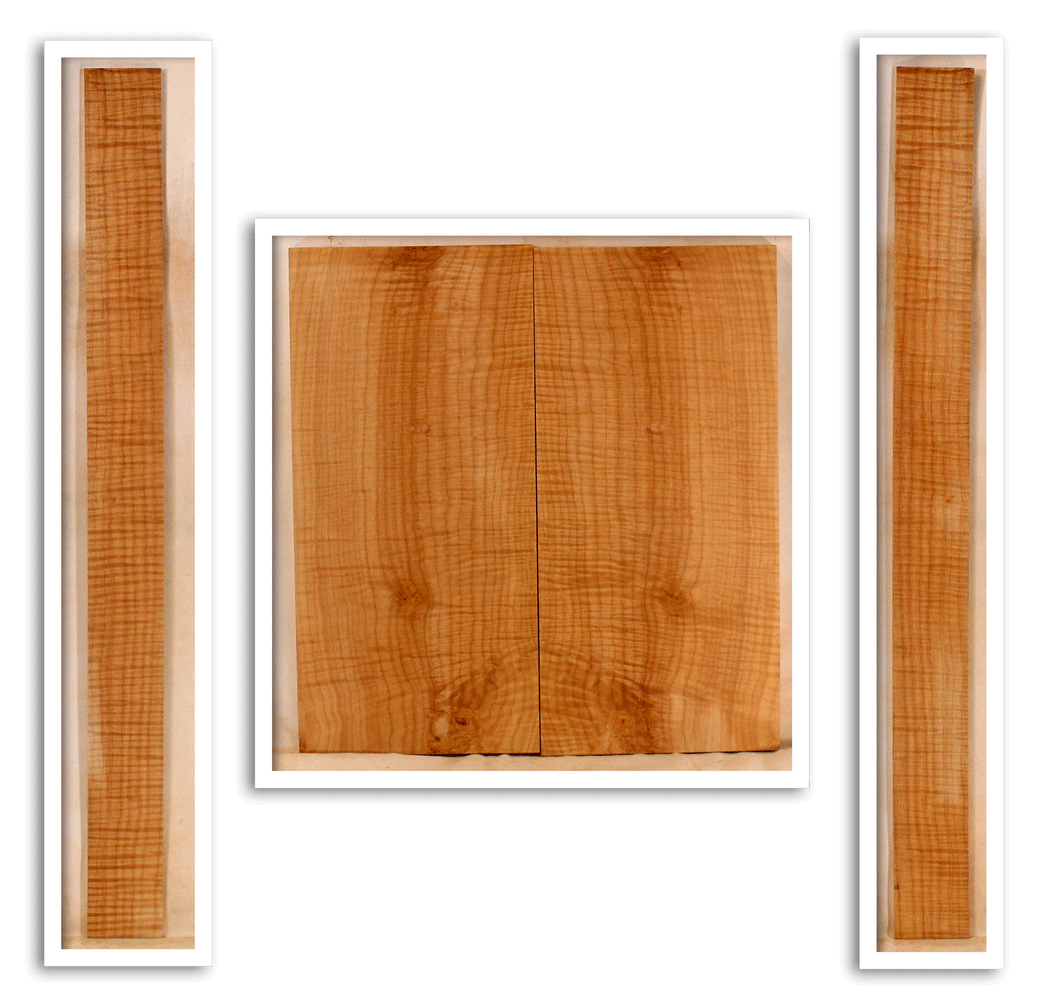 Maple Mandolin Archtop Back and Sides