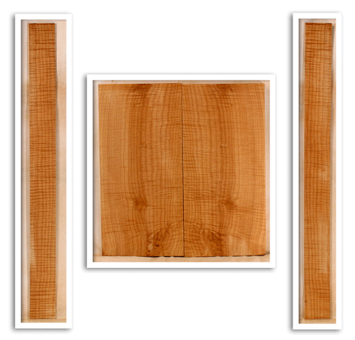 Maple Mandolin Archtop Back and Sides