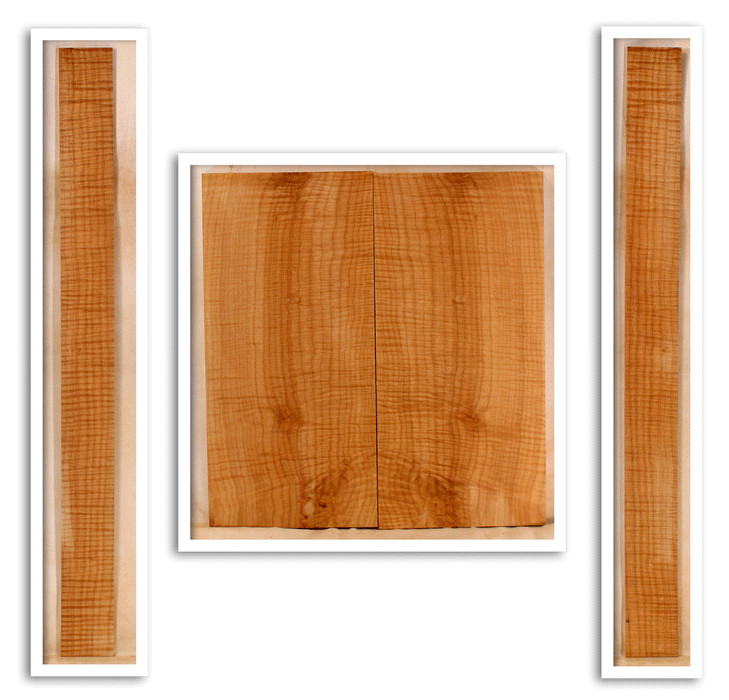 Maple Mandolin Archtop Back and Sides