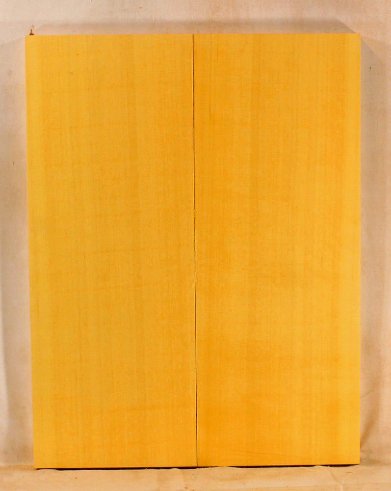 Alaskan Yellow Cedar Archop Mandolin Soundboard