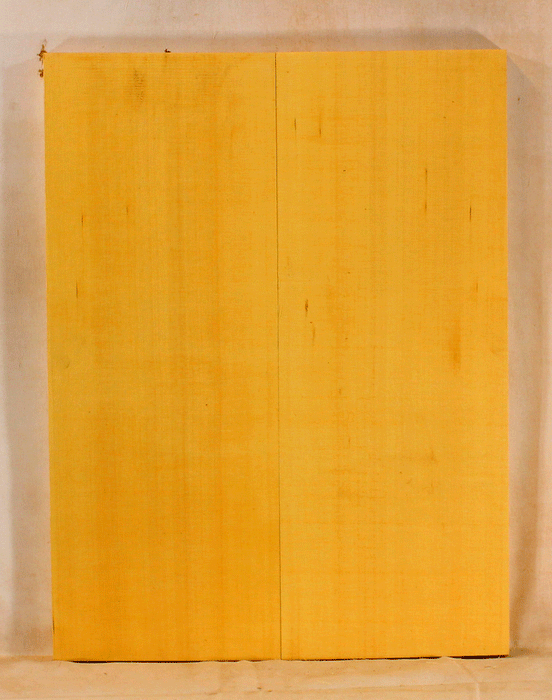 Alaskan Yellow Cedar Archtop Mandolin Soundboard