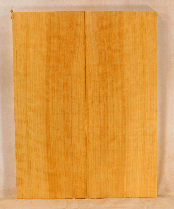 Port Orford Cedar Archtop Mandolin Soundboard , Bright and Expressive Sound, Eco-Friendly, Sustainable Guitar Wood (LD24)