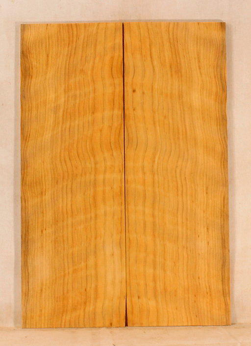 Port Orford Cedar Ukulele Soundboard