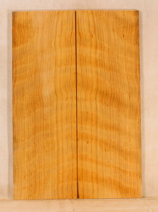 Port Orford Cedar Ukulele Soundboard