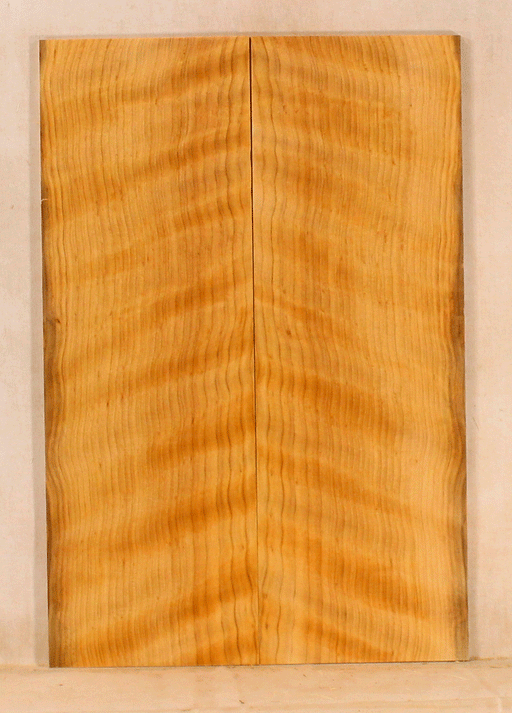 Port Orford Cedar Ukulele Soundboard