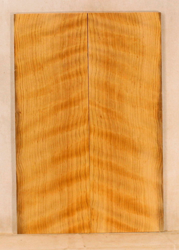 Port Orford Cedar Ukulele Soundboard