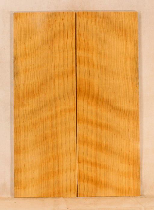 Port Orford Cedar Ukulele Soundboard