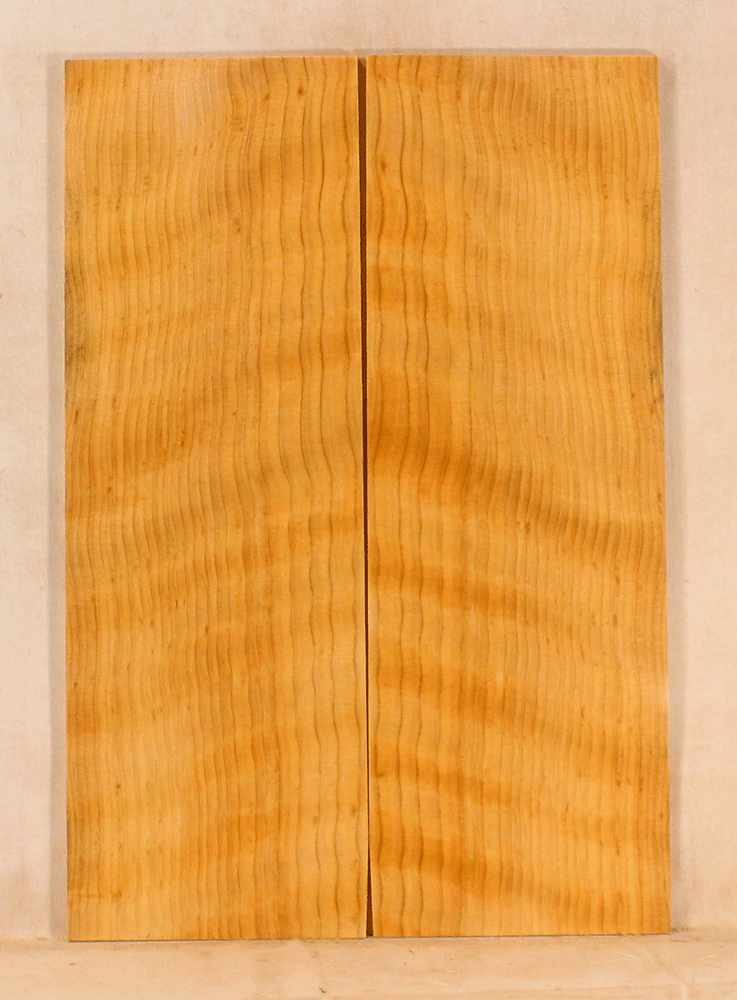 Port Orford Cedar Ukulele Soundboard
