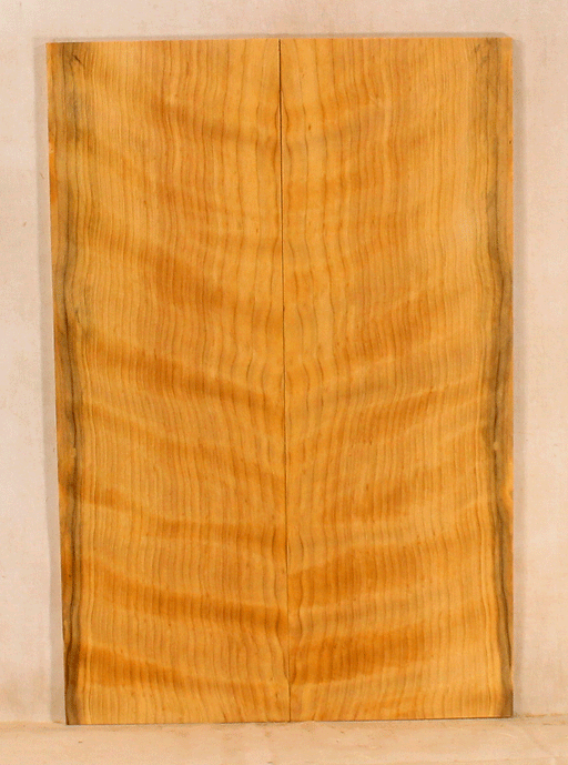 Port Orford Cedar Ukulele Soundboard