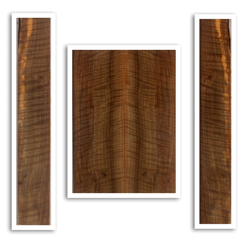 Claro Walnut Ukulele Back and Sides