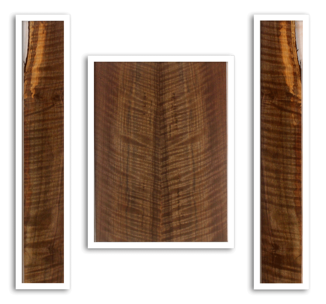 Claro Walnut Ukulele Back and Sides