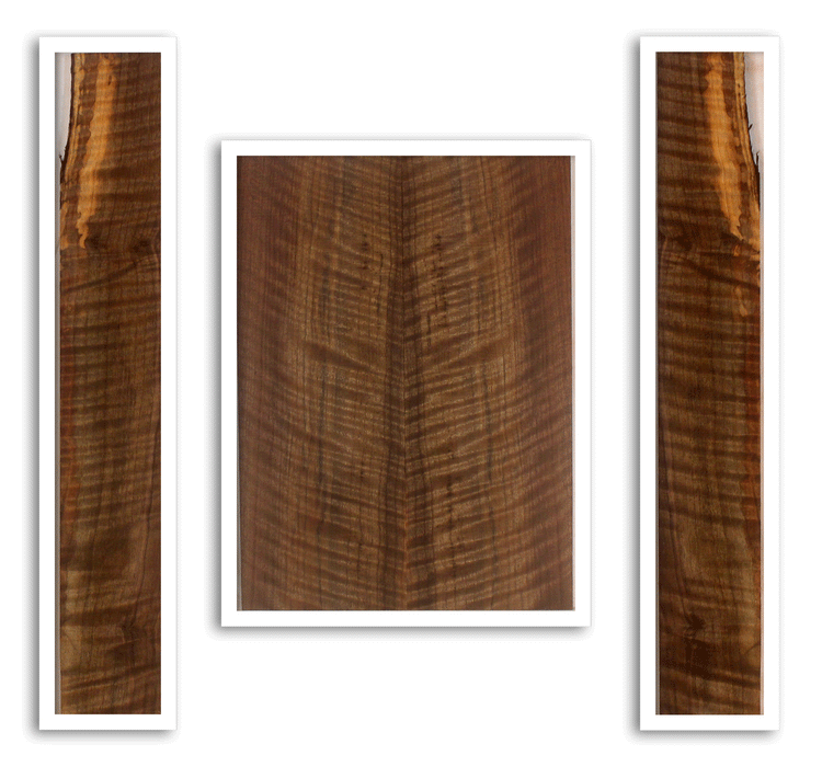 Claro Walnut Ukulele Back and Sides