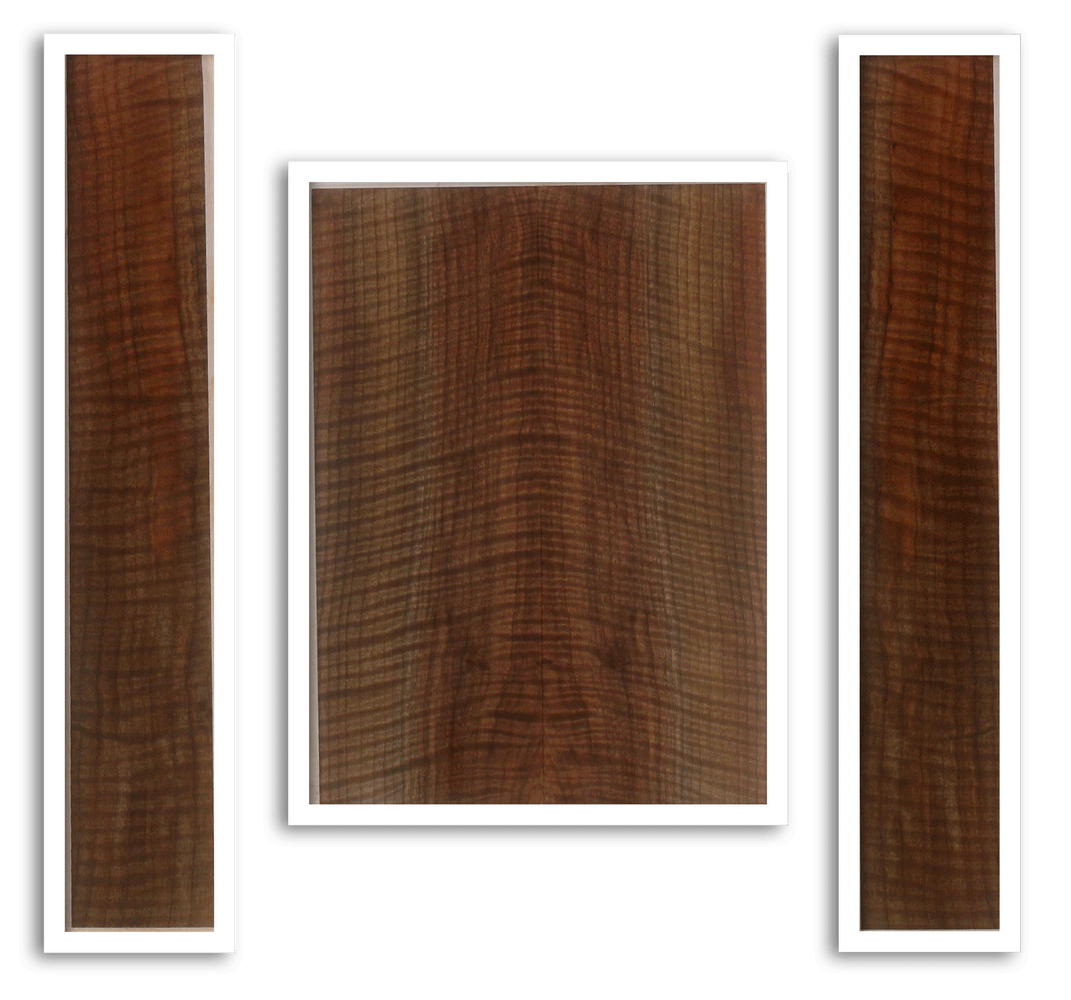 Claro Walnut Ukulele Back and Sides