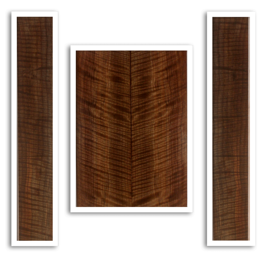 Caro Walnut Ukulele Back and Sides