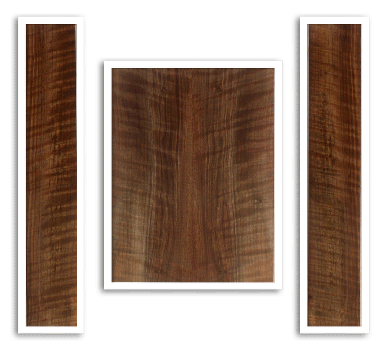 Claro Walnut Baritone Ukulele Back and Sides 