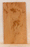 Redwood Ukulele Soundboard, Concert Size, One Piece, Figured, Recovered from Trees Cut in the 1890’s and 1900’s, Eco-Friendly (LE03)