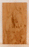 Redwood Ukulele Soundboard, Tenor Size, One Piece, Figured, Recovered from Trees Cut in the 1890’s and 1900’s, Eco-Friendly (LE14)