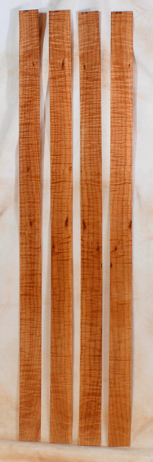 Maple Bow Veneer