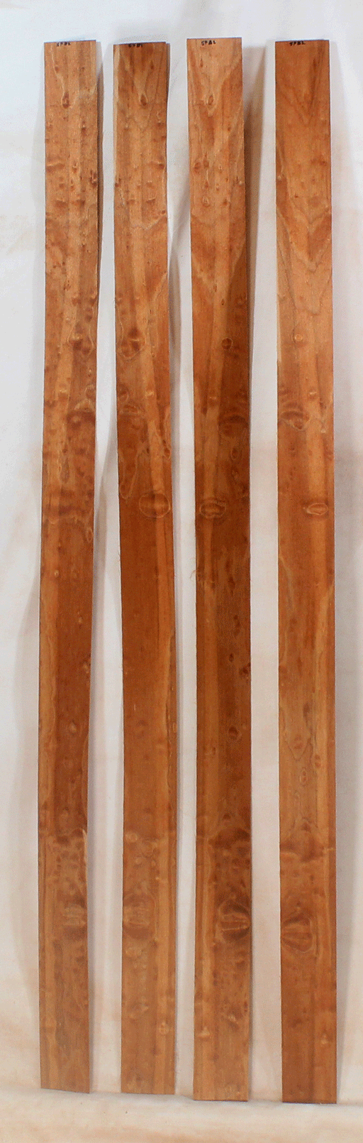 Maple Bow Veneers