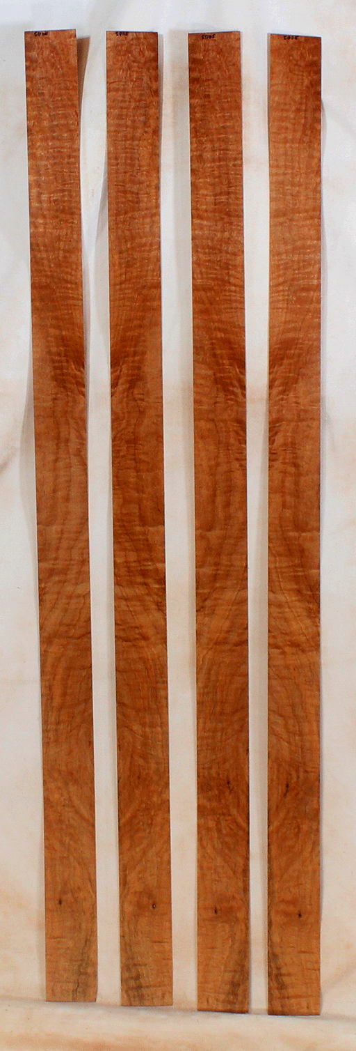 Maple Bow Veneers