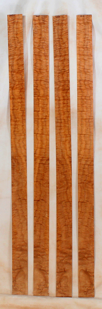 Maple Bow Veneers