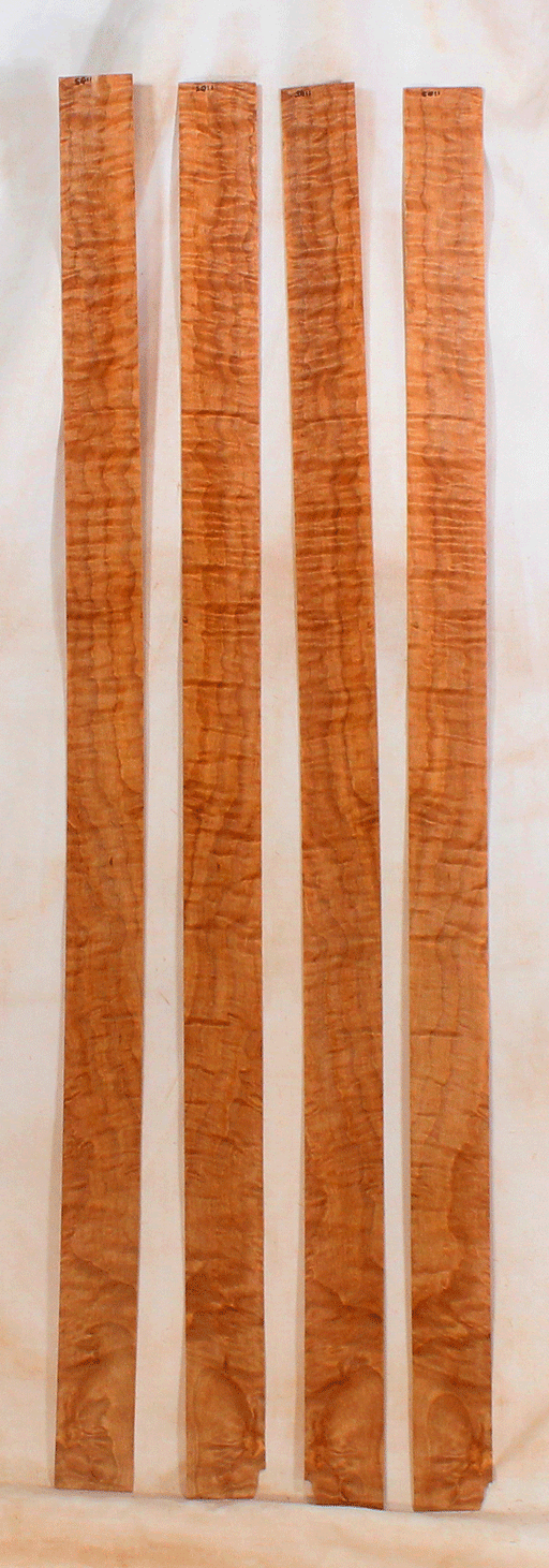 Maple Bow Veneers