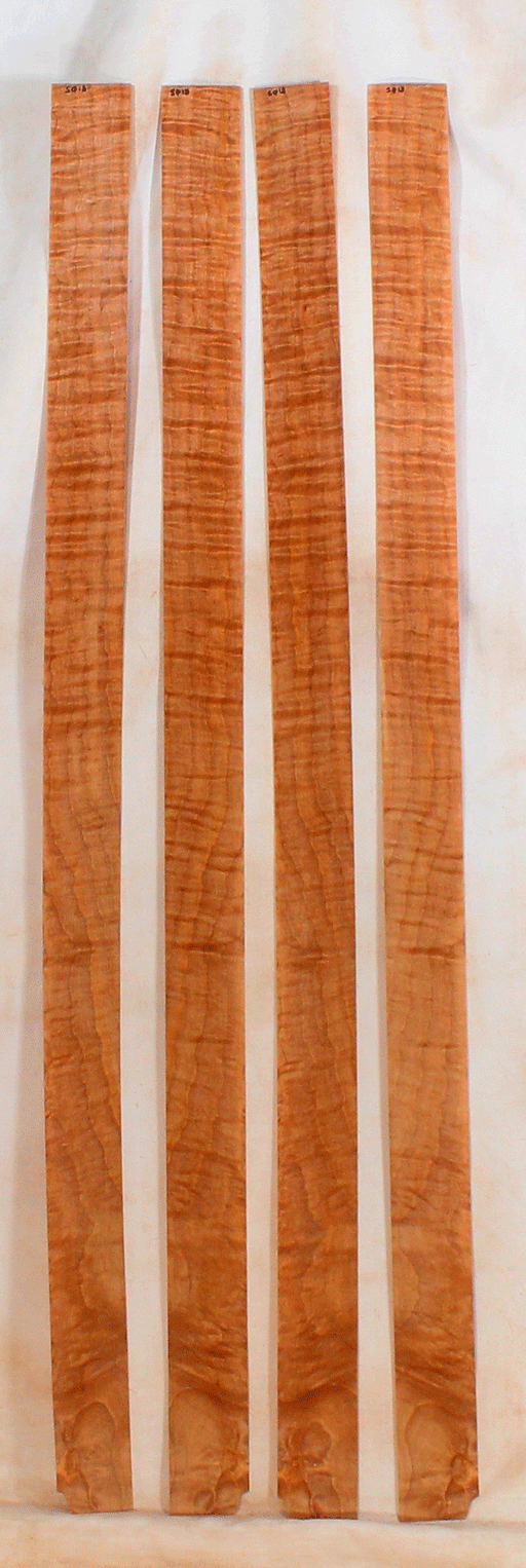 Maple Bow Veneers