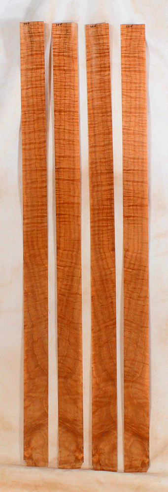 Maple Bow Veneer