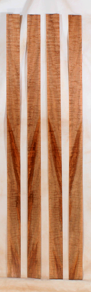 Maple Bow Veneer