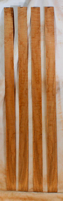 Maple Bow Veneer (SQ23)