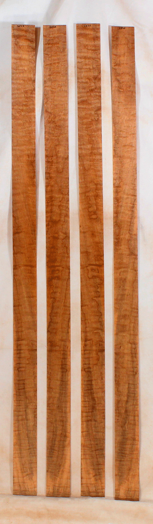 Maple Bow Veneers