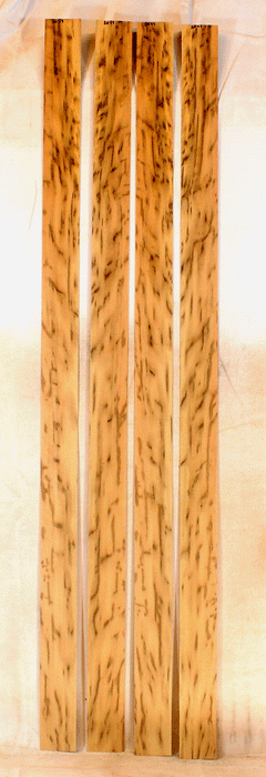 Myrtle Bow Veneer (SQ47)