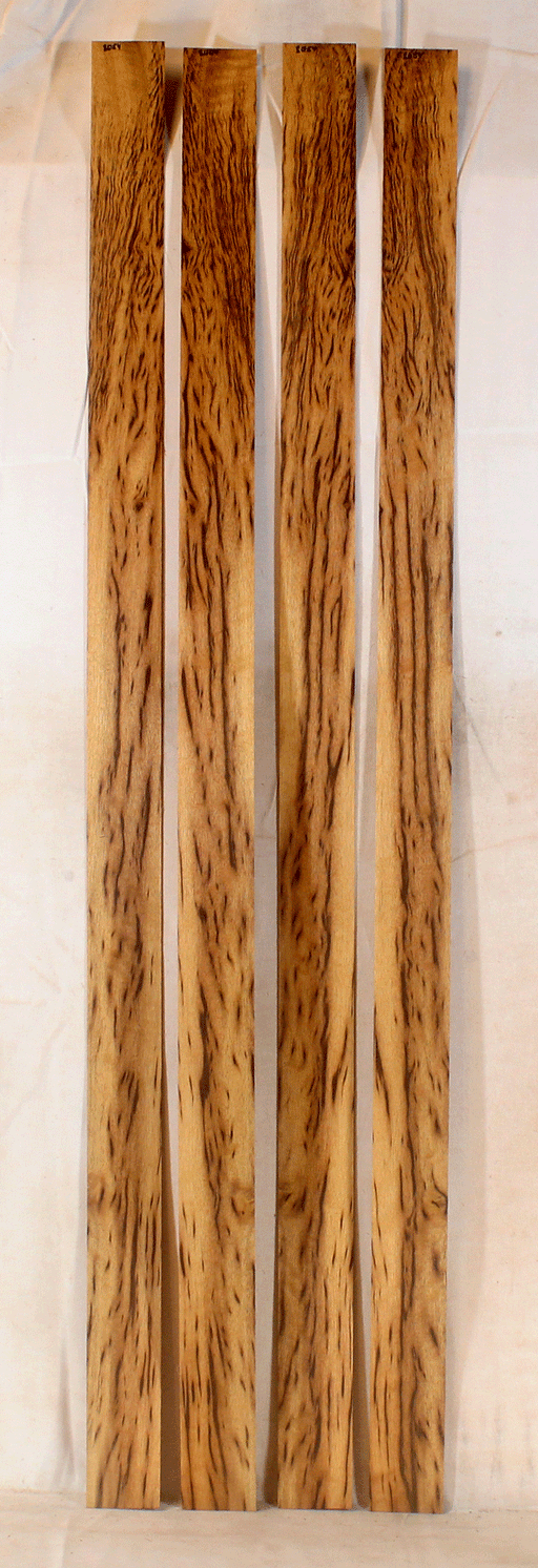 Myrtle Tiger Bow Veneers