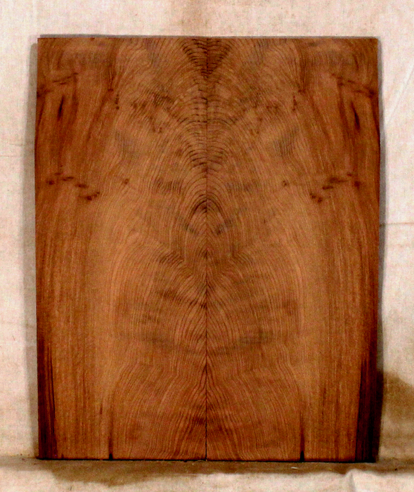 Redwood Tenor Ukulele Soundboard (DS47)