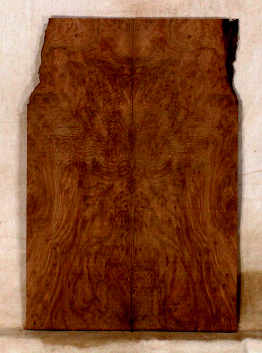 Redwood Tenor Ukulele Soundboard (DS49)