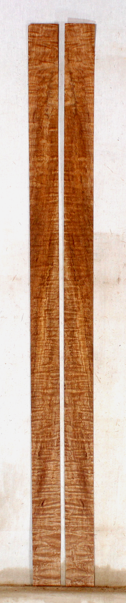 Maple Bow Veneers (SJ77)