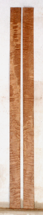 Maple Bow Veneers (SJ78)