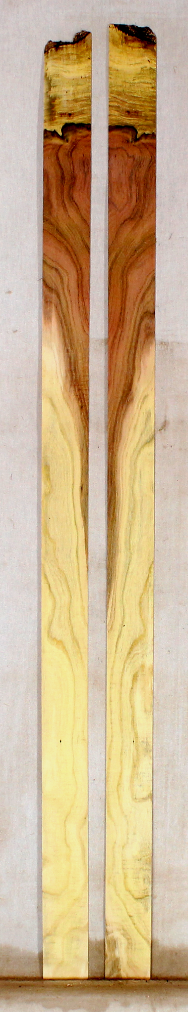 Pistachio Bow Veneers (SL45)