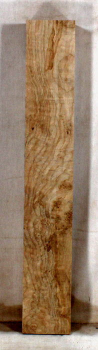 Maple Accent Piece for Bow Riser (TD02)