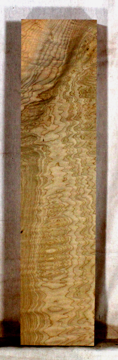 Maple Accent Piece for Bow Riser (TD06)
