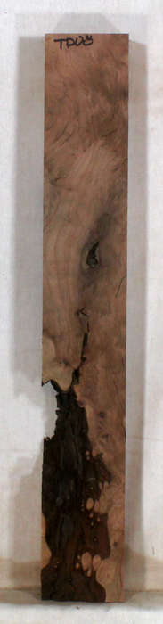 Redwood Accent Piece for Bow Riser (TD08)