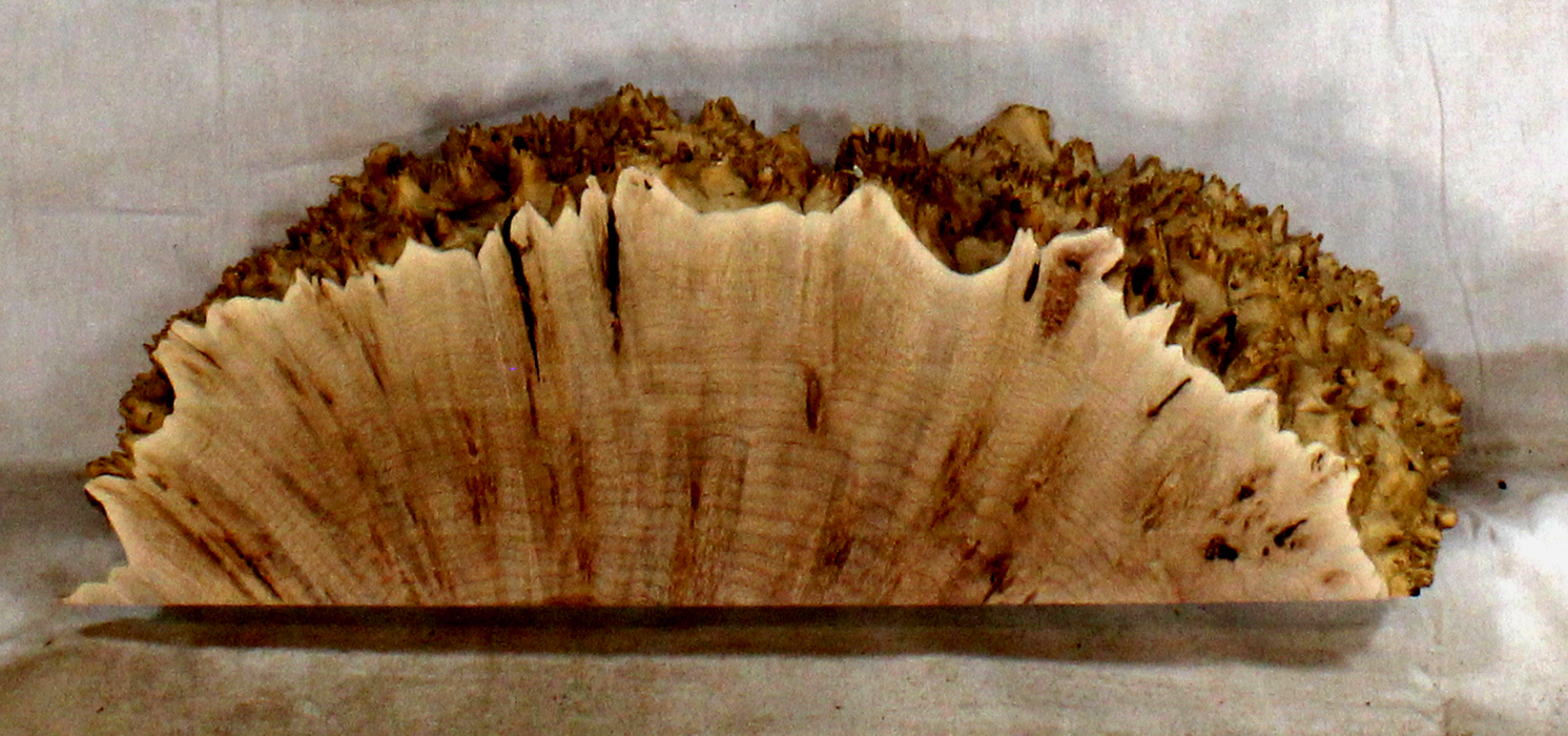 Maple Burl Accent Piece for Bow Riser (TD14)