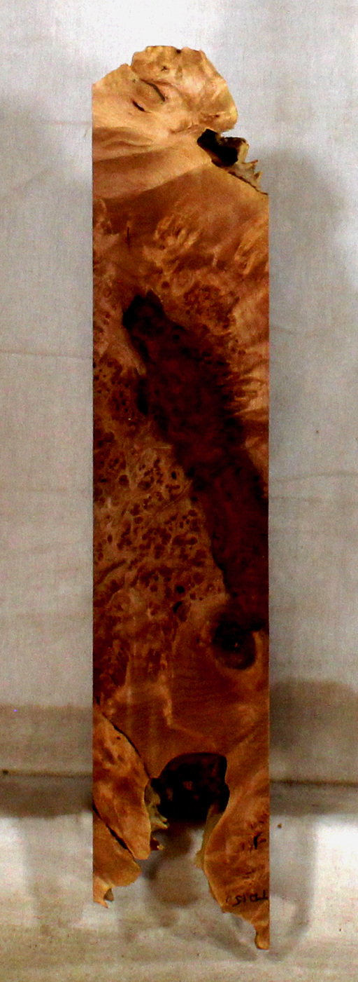 Maple Burl Accent Piece for Bow Riser (TD15)