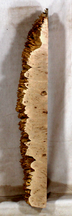 Maple Burl Accent Piece for Bow Riser (TD16)